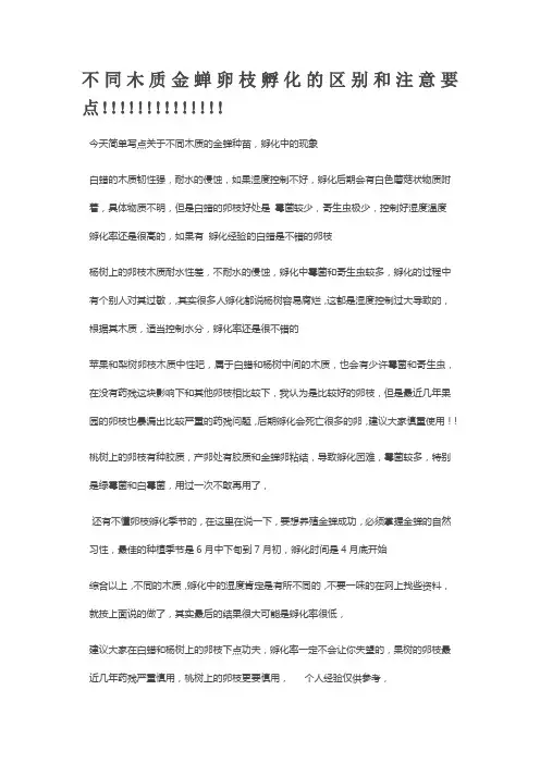 金蝉养殖技术