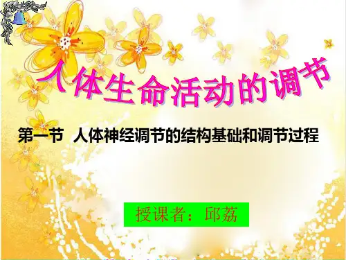 人体神经调节的结构基础和调节过程PPT课件