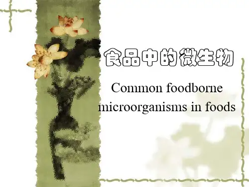 食品中的微生物及病原菌ppt福建省疾病预防控制中心