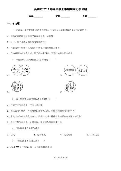 昆明市2019年九年级上学期期末化学试题