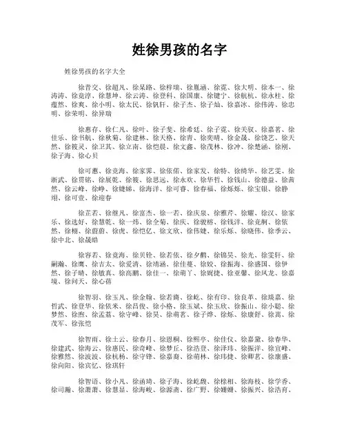 姓徐男孩的名字
