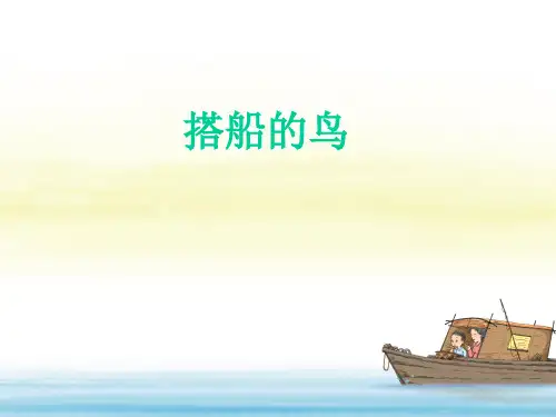 15.《搭船的鸟》课件(共25张PPT)