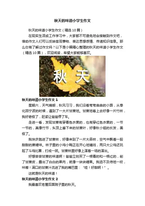 秋天的味道小学生作文