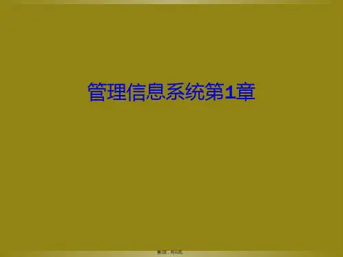 管理信息系统第1章