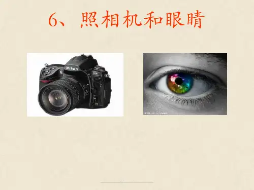 最新五年级科学下册课件-照相机和眼睛