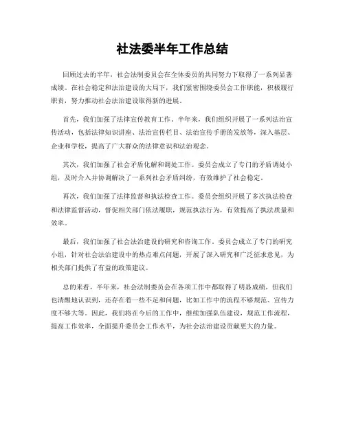 社法委半年工作总结