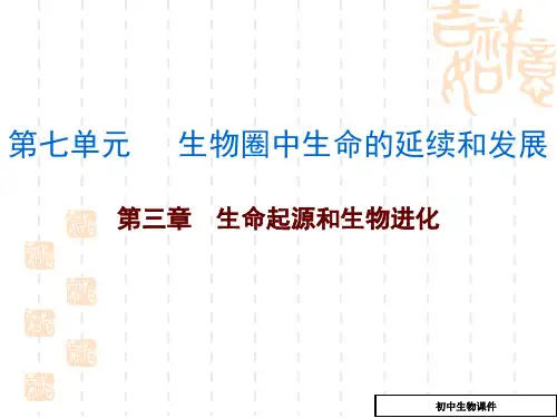 初中八年级(初二)生物 第三章 生命起源和生物进化