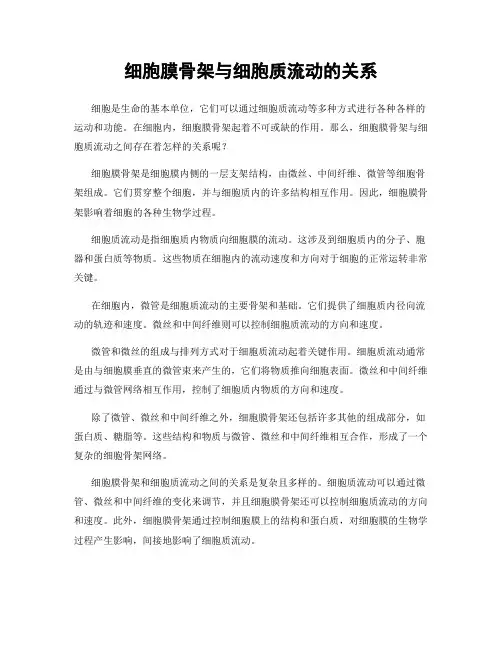 细胞膜骨架与细胞质流动的关系