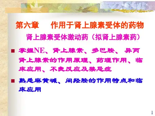 拟肾上腺素药