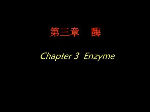 动物生化第三章酶.