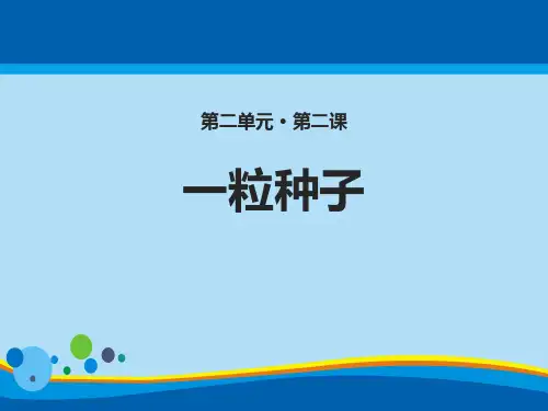 《一粒种子》PPT课件下载【精选推荐课件】