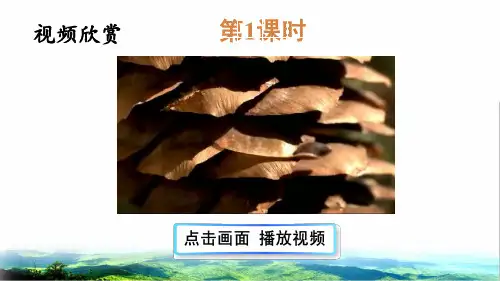 部编版三年级语文上册第七单元第21课《大自然的声音》PPT课件