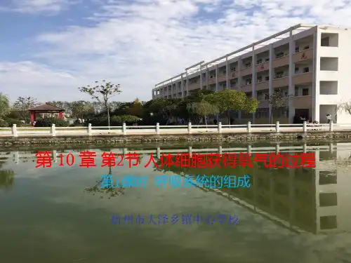 北师大版七下第10章：10.2 人体细胞获得氧气的过程(第1课时)课件ppt(19张ppt)
