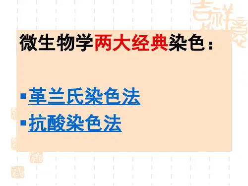 革兰氏染色和抗酸染色法