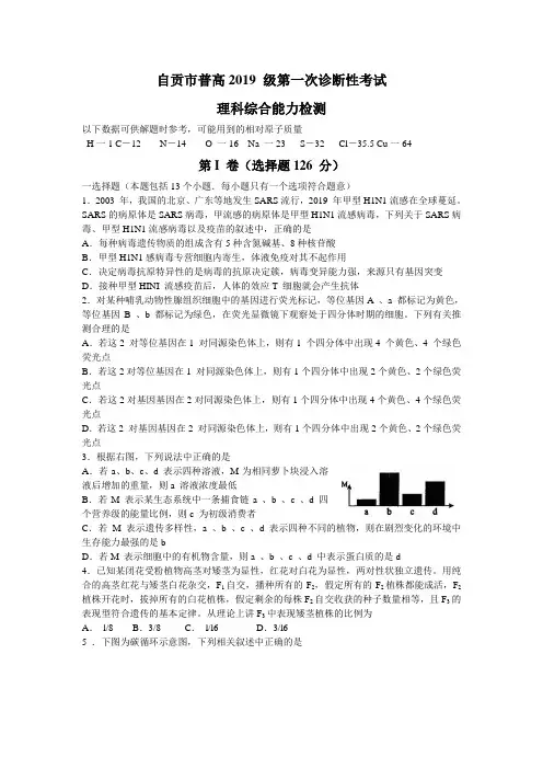 自贡市普高2019级第1次诊断性考试理科综合试题