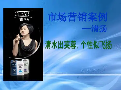 清扬市场营销案例分析精品PPT课件