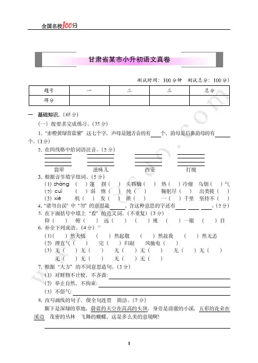 甘肃省某市小升初语文真卷