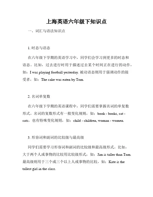 上海英语六年级下知识点