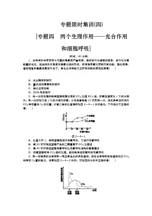 高考生物二轮复习方案专题限时集训(新课标)：专题四 两个生理作用——光合作用和细胞呼吸 Word版含解析