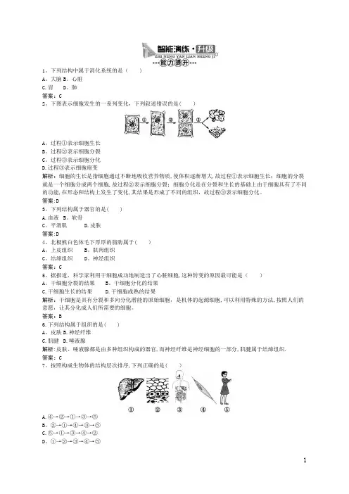 动物体的结构层次 习题附答案