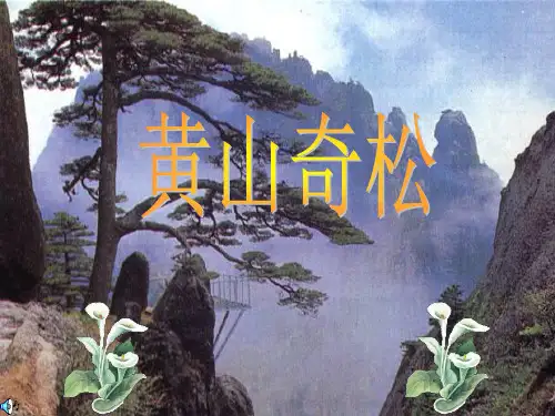 16《黄山奇松》课件