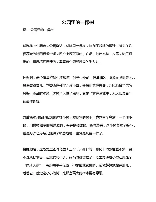 作文《公园里的一棵树》 2