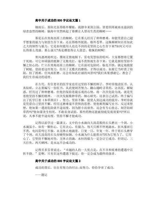 高中关于成功的800字议论文精选范文