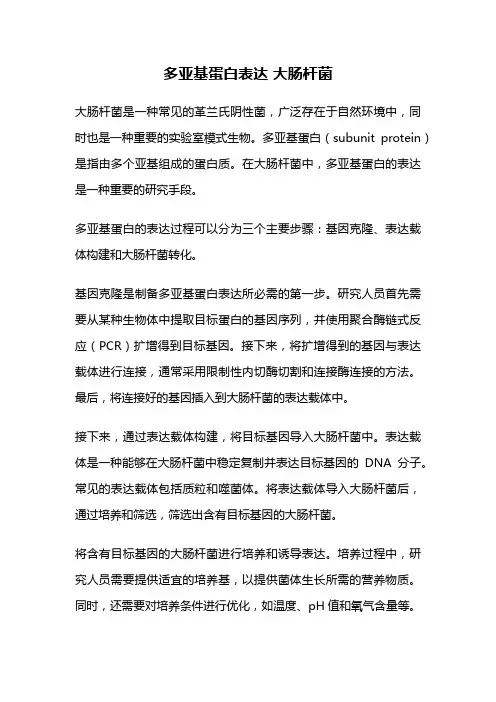 多亚基蛋白表达 大肠杆菌