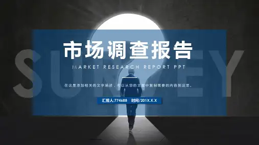 食品市场调查报告ppt