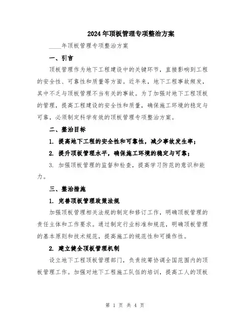 2024年顶板管理专项整治方案