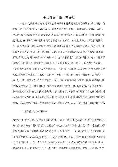 十大补肾壮阳中药介绍