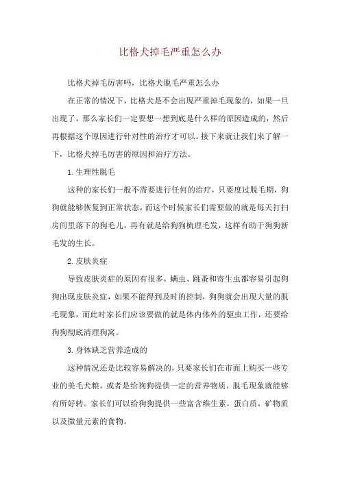 比格犬掉毛严重怎么办
