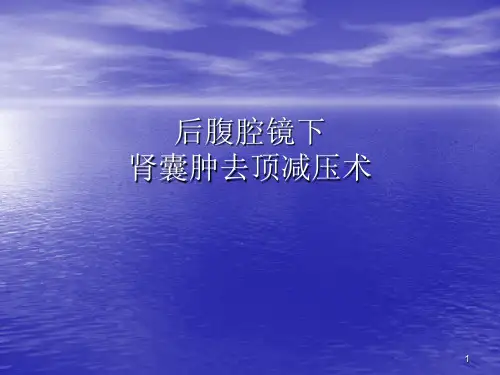 肾囊肿去顶减压术ppt课件