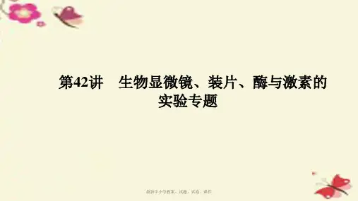 中考科学 第42讲 生物显微镜、装片、酶与激素的实验专题复习课件