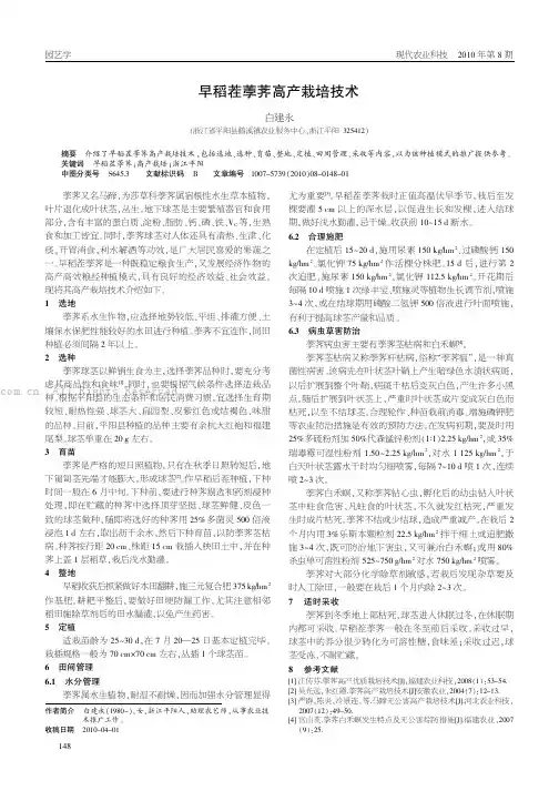 早稻茬茡荠高产栽培技术