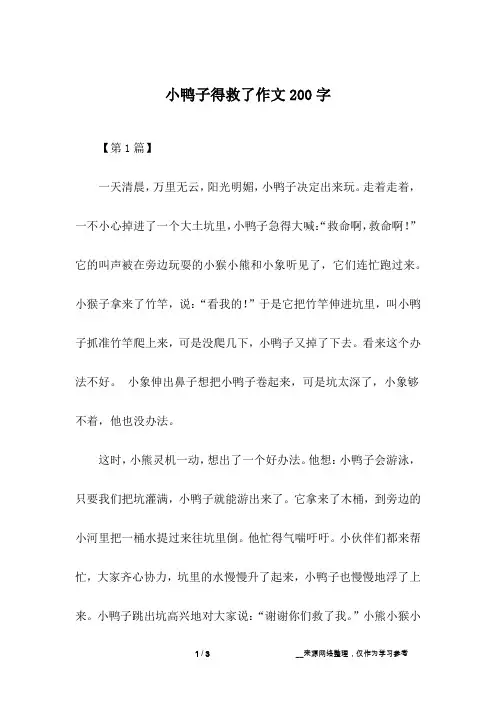 小鸭子得救了作文200字