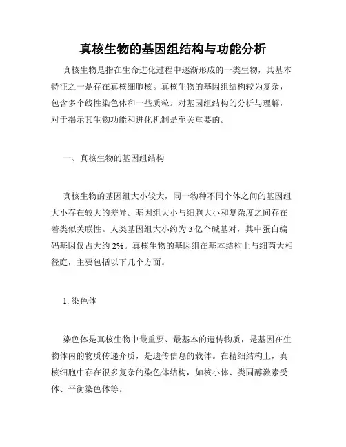 真核生物的基因组结构与功能分析