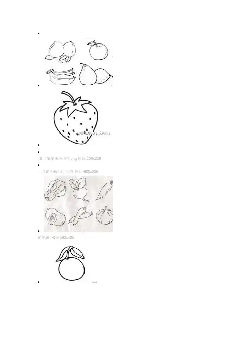 46个简笔画小动物png图标256x256