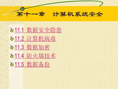 11-计算机系统安全