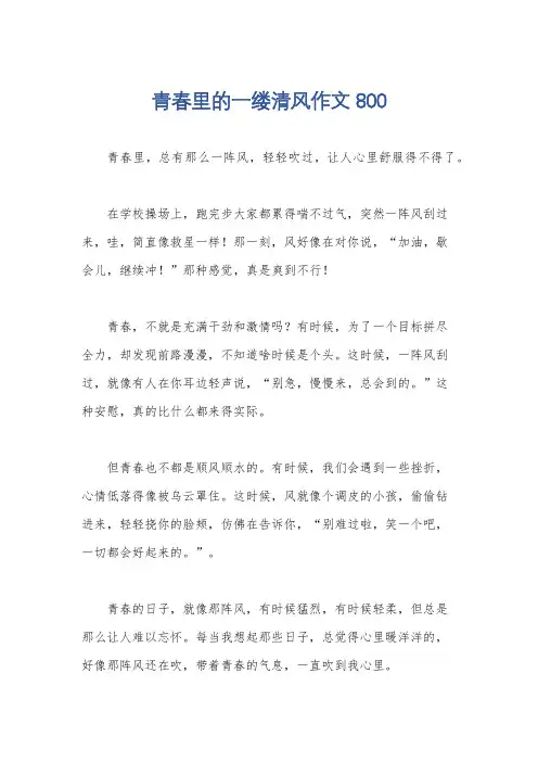 青春里的一缕清风作文800