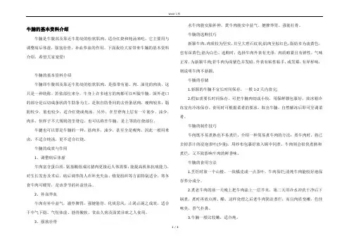 牛腩的基本资料介绍
