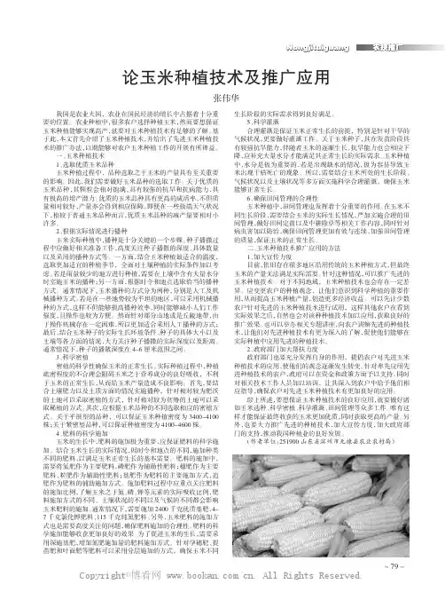 论玉米种植技术及推广应用