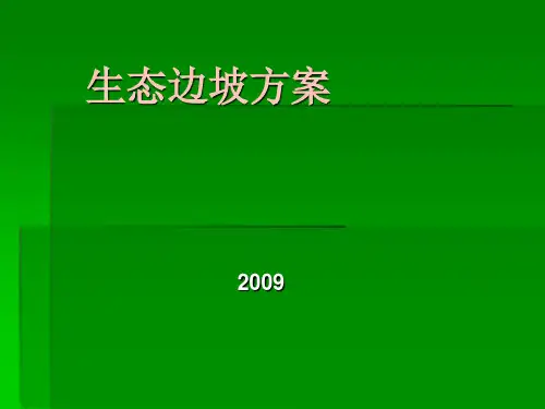 柔性生态边坡方案