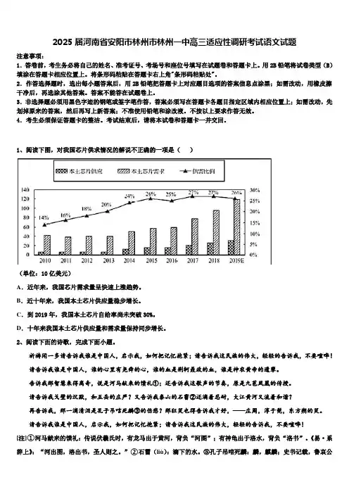 2025届河南省安阳市林州市林州一中高三适应性调研考试语文试题含解析