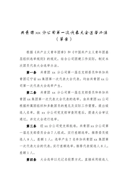 xx公司第一次代表大会选举办法