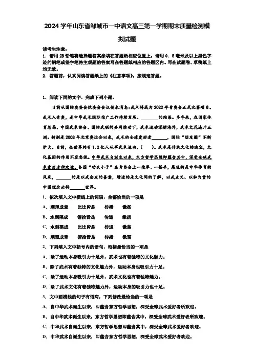 2024学年山东省邹城市一中语文高三第一学期期末质量检测模拟试题含解析