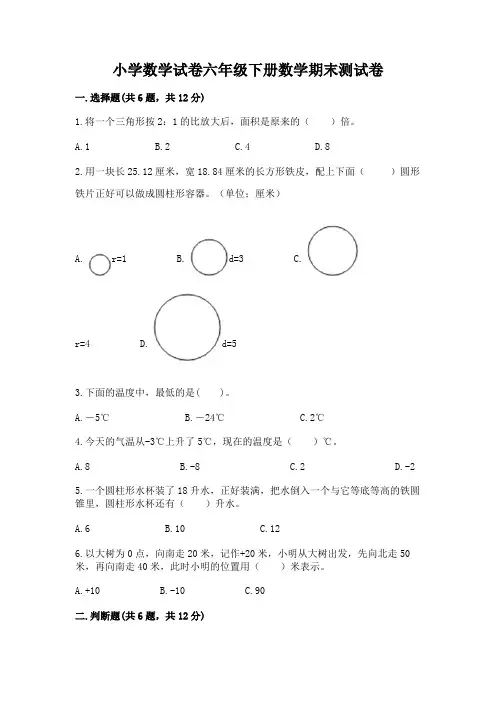 小学数学试卷六年级下册数学期末测试卷附完整答案【名校卷】
