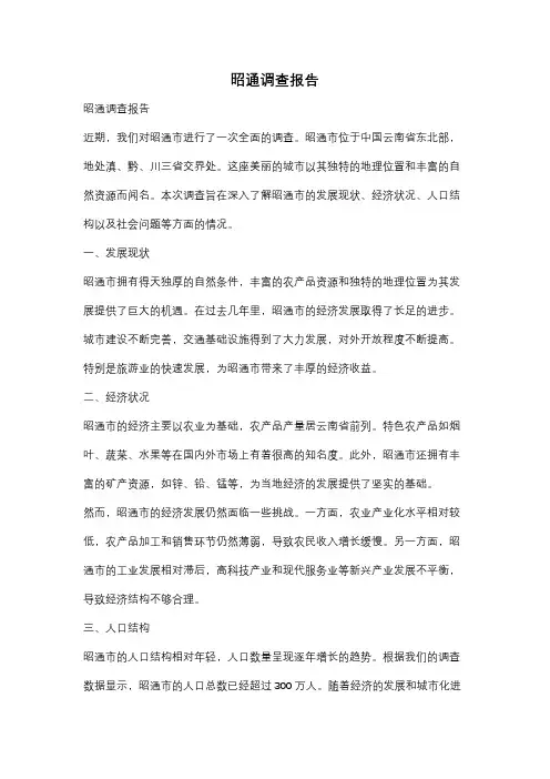 昭通调查报告
