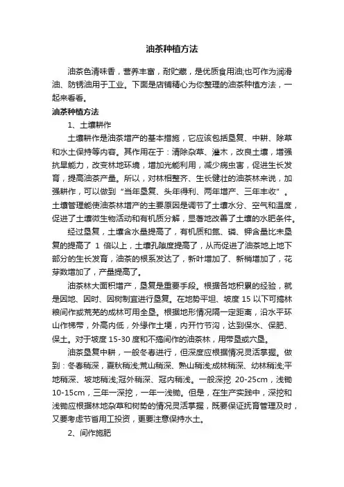 油茶种植方法