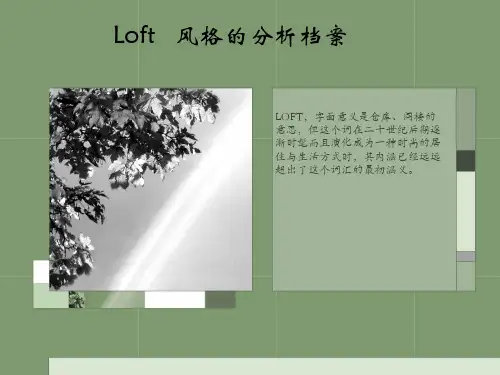 陈设设计——Loft   风格的分析